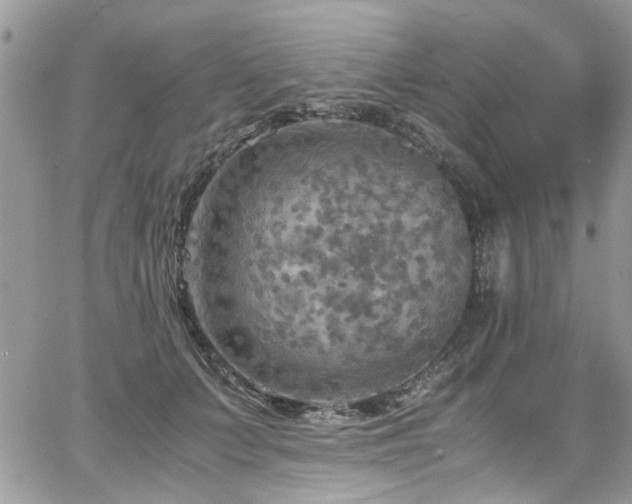 X0000065240703200602171424