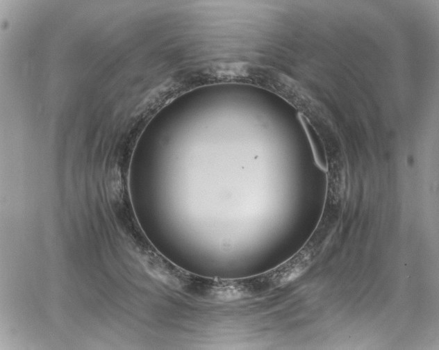 X0000065240704200602171424