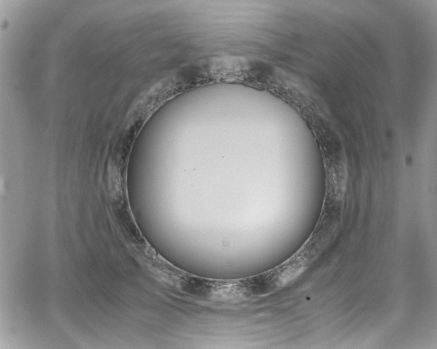 X0000065240705200602171424