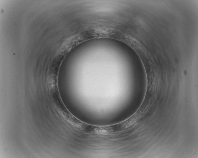 X0000065240706200602171424