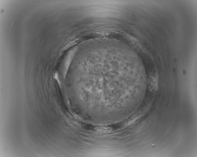 X0000065240707200602171424