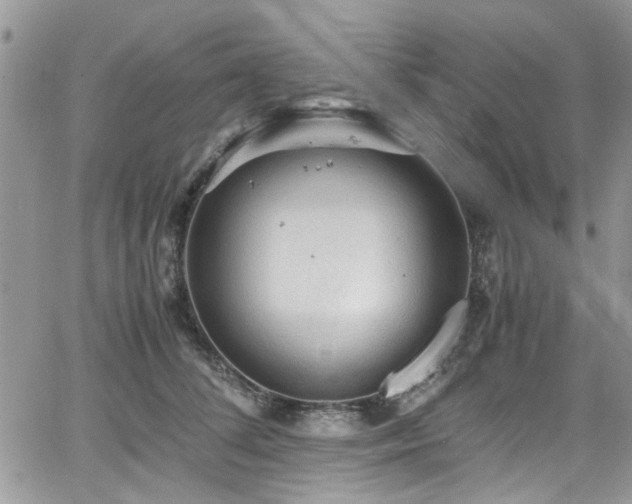 X0000065240708200602171424