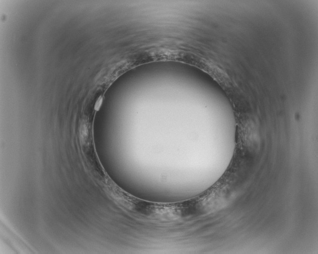 X0000065240709200602171424