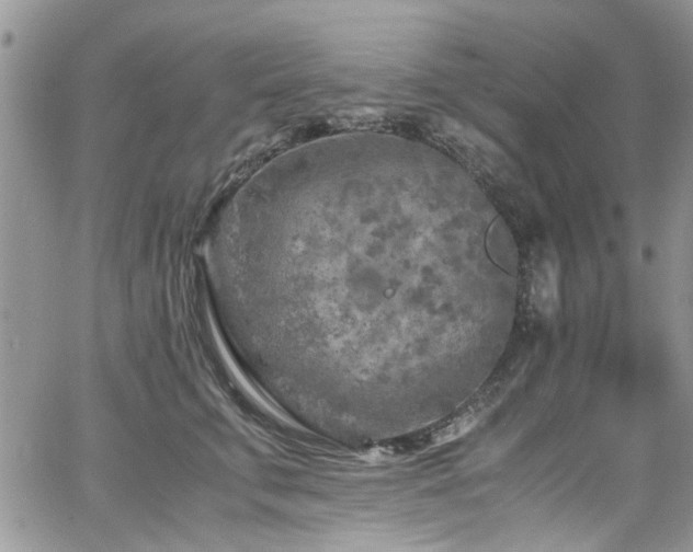 X0000065240711200602171424