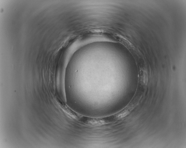 X0000065240712200602171424