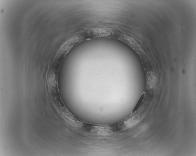 X0000065240713200602171424