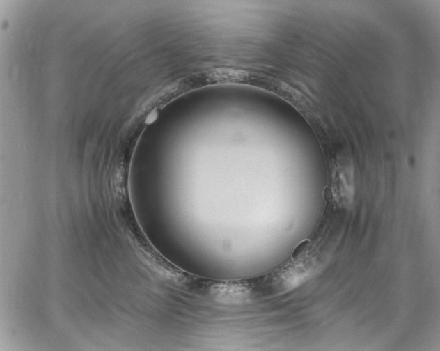 X0000065240714200602171424