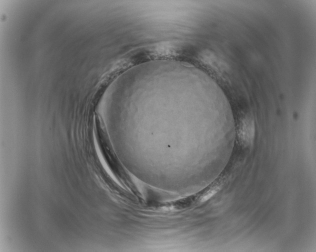 X0000065240715200602171424