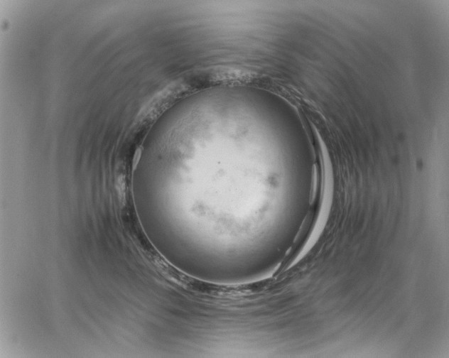 X0000065240716200602171424