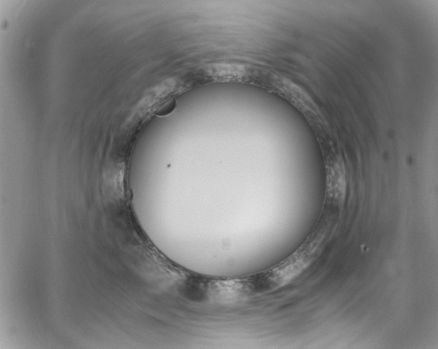 X0000065240717200602171424