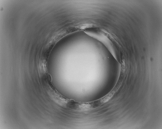 X0000065240718200602171424