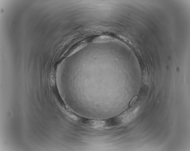 X0000065240719200602171424