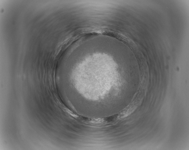 X0000065240720200602171424