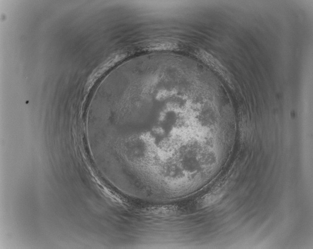 X0000065240721200602171423