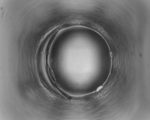 X0000065240722200602171423