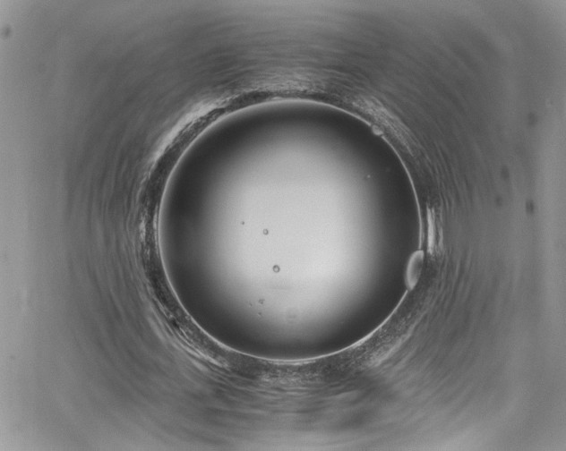 X0000065240723200602171423