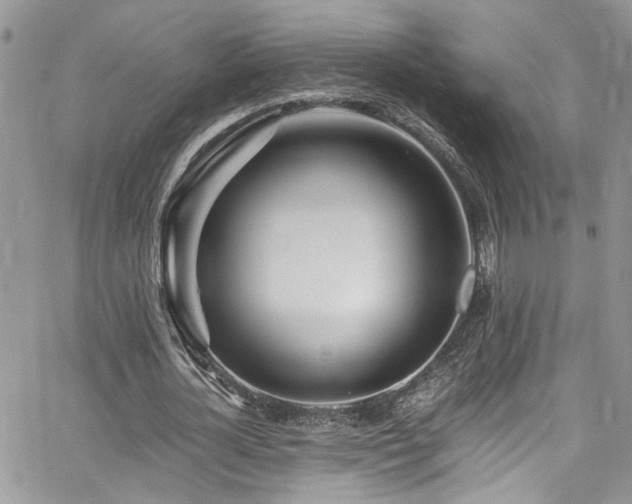 X0000065240724200602171423