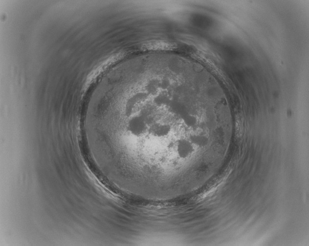 X0000065240725200602171423