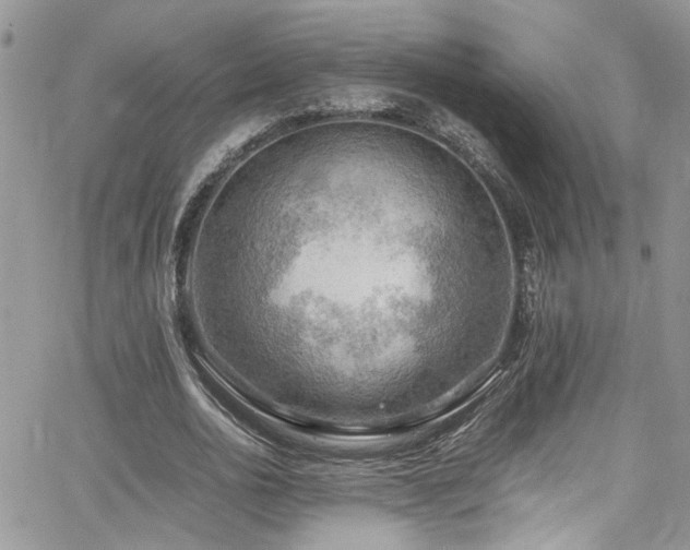 X0000065240726200602171423