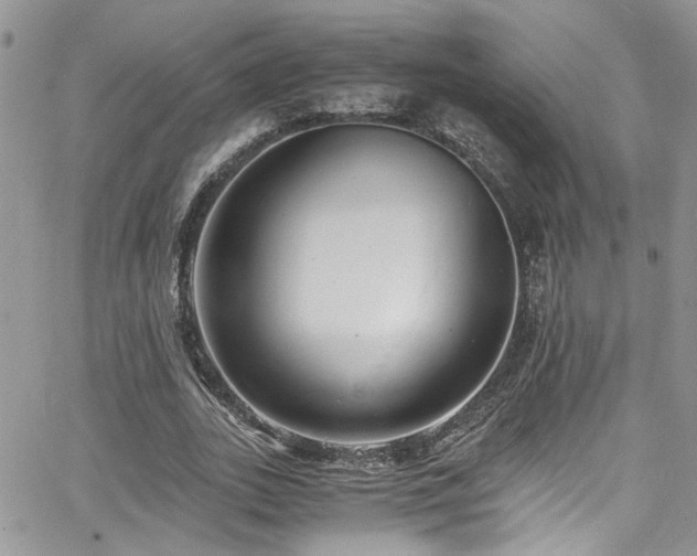 X0000065240727200602171423