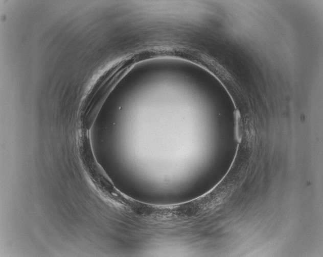 X0000065240728200602171423