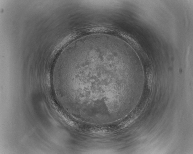 X0000065240729200602171423