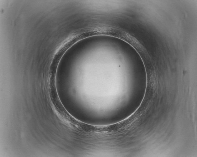 X0000065240730200602171423