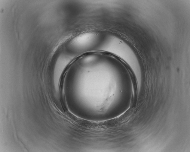 X0000065240731200602171423