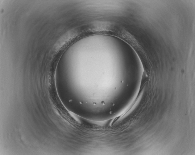 X0000065240732200602171423