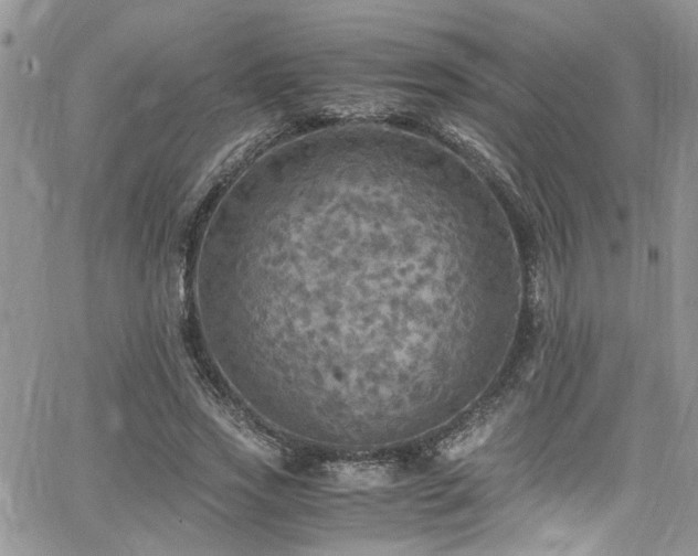 X0000065240733200602171423