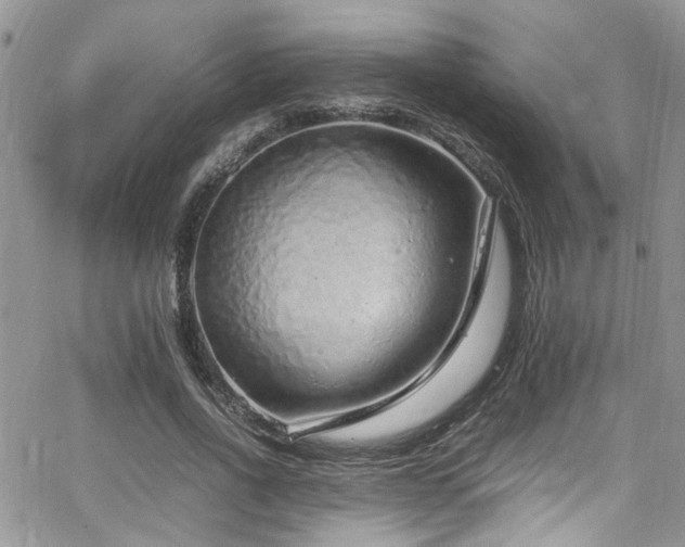 X0000065240734200602171423