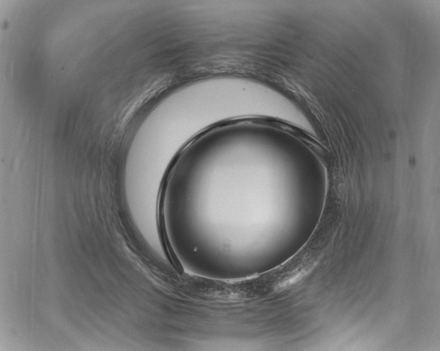 X0000065240735200602171423