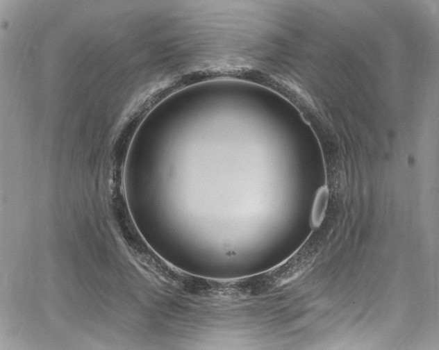 X0000065240736200602171423