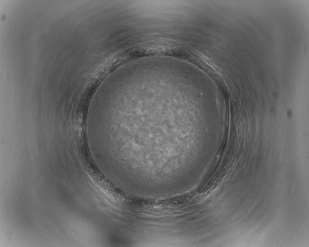 X0000065240737200602171423