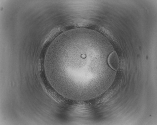 X0000065240738200602171423