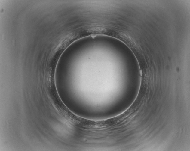 X0000065240739200602171423