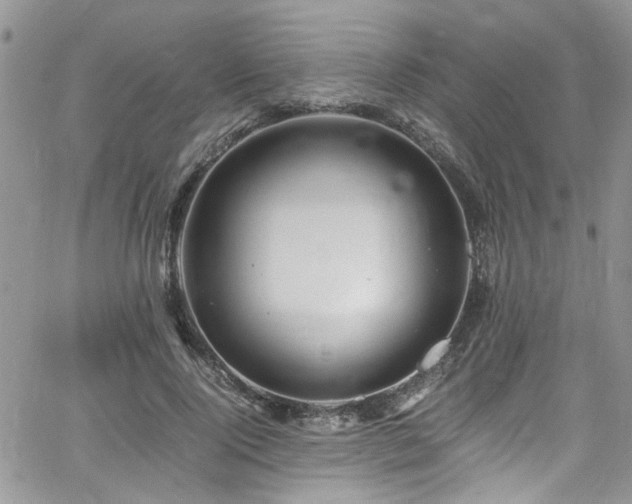 X0000065240740200602171423