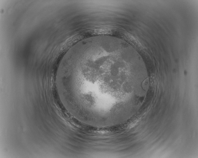 X0000065240741200602171423