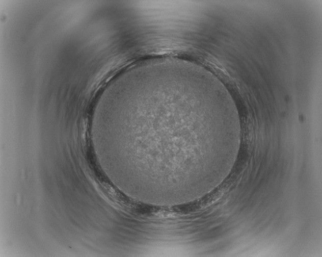 X0000065240742200602171423