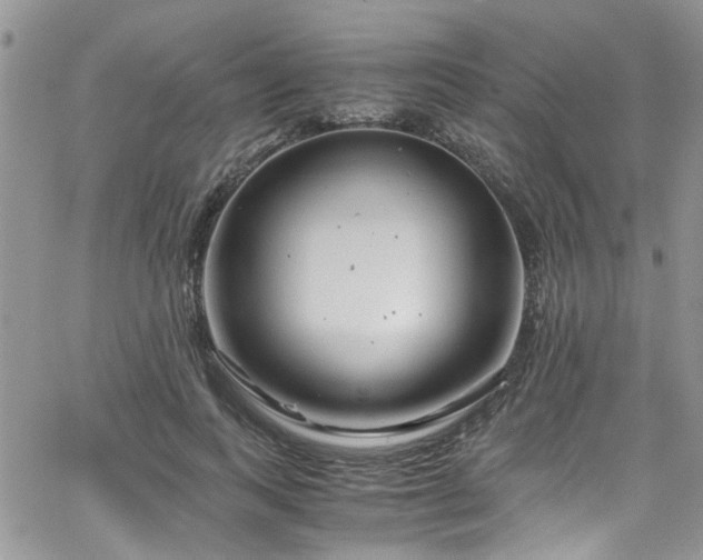 X0000065240743200602171423