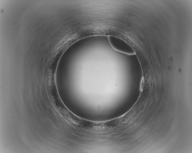 X0000065240744200602171423