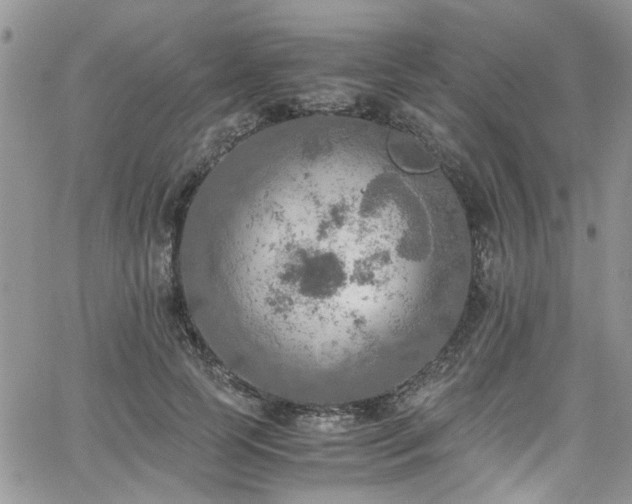 X0000065240745200602171423