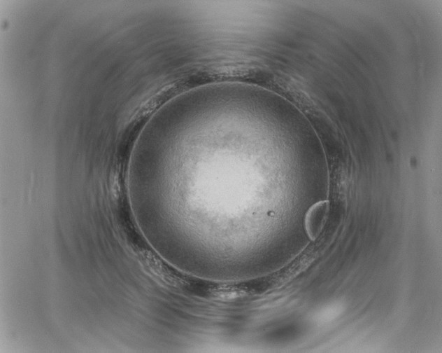 X0000065240746200602171423