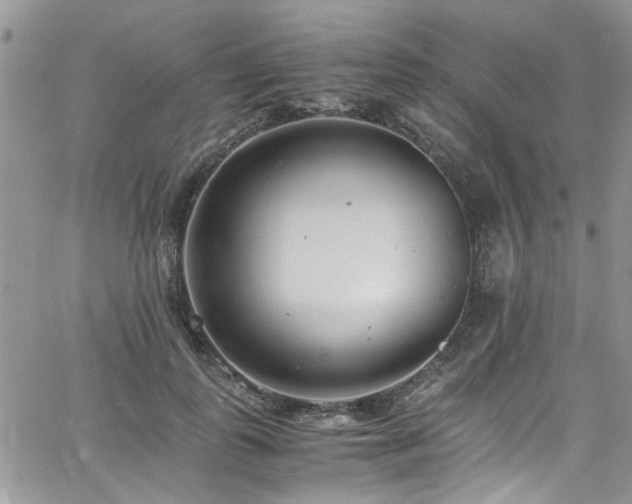 X0000065240747200602171423