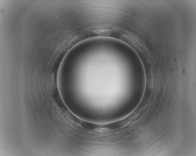 X0000065240748200602171423