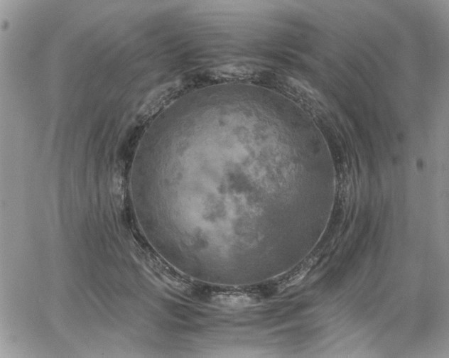 X0000065240749200602171423