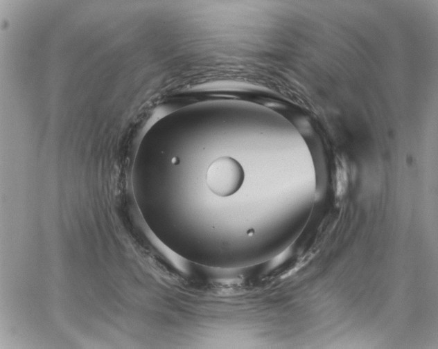 X0000065240750200602171423