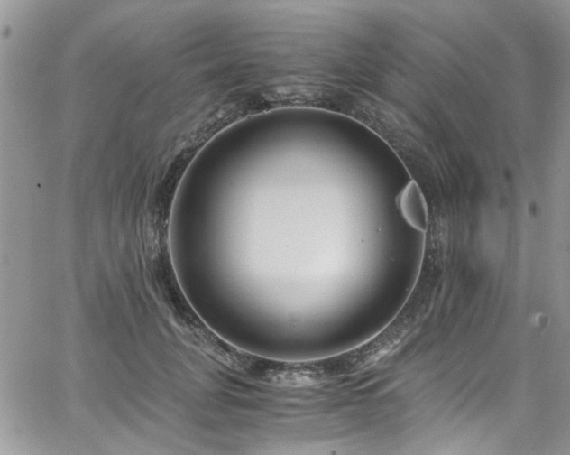 X0000065240751200602171423