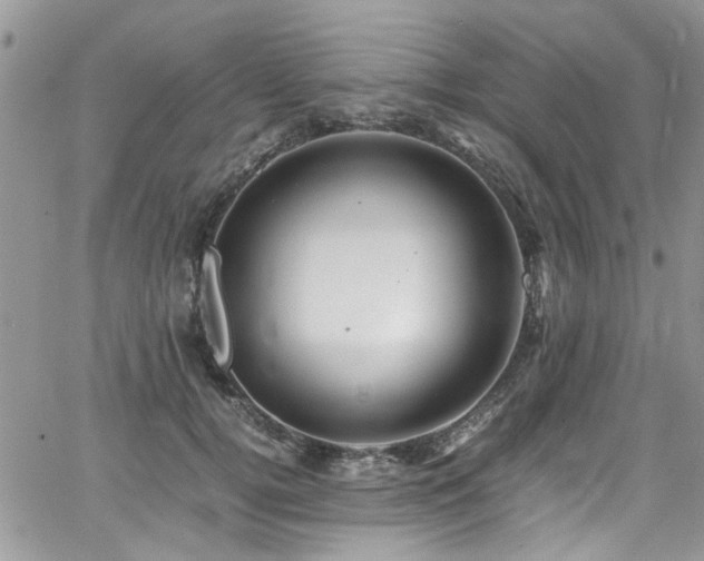 X0000065240752200602171423