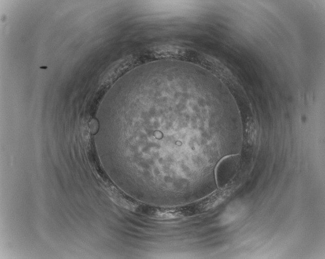 X0000065240753200602171423